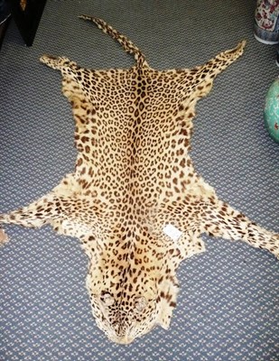 Lot 287 - Leopard (Panthera pardus), circa 1920, flat skin rug, backed onto fawn material, 210cm nose to tail