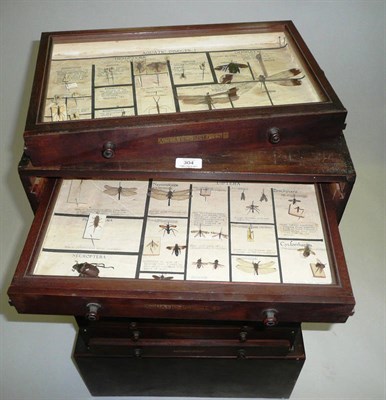 Lot 304 - A Ten Drawer Cabinet Containing Teaching Collection of Insect Orders, circa 1920-30, containing...