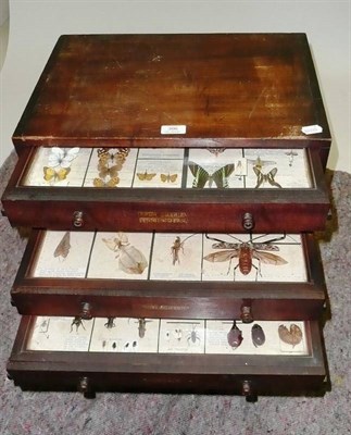 Lot 306 - Butterflies and Moths: a ten-drawer cabinet in deal carcase, 49.55cm wide, 60cm high,...