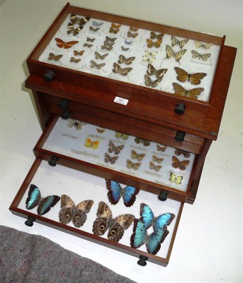 Lot 307 - Butterflies and Moths: a six-drawer mahogany cabinet, 61cm wide, 39cm high, containing a section of