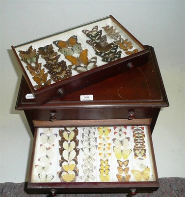 Lot 308 - Butterflies and Moths: an eight-drawer pine/deal cabinet, containing a collection of British...