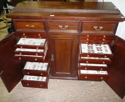 Lot 309 - Butterflies and Moths: a late Victorian sideboard Oology cabinet, in two tiers of eleven graded...