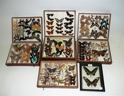 Lot 310 - Butterflies and Moths: four deal entomological store boxes, the majority containing colourful...