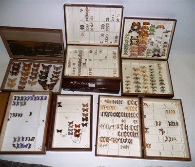 Lot 311 - Butterflies and Moths: seven deal entomological store boxes containing a collection of British...