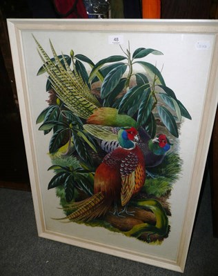 Lot 48 - David Binns - 'Surprise Encounter', two cock pheasants, signed and dated (19)68, watercolour,...