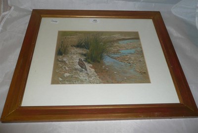 Lot 49 - Arthur Wardle - Snipe on a Sand Bank, signed, pastel, 20cm by 27.5cm