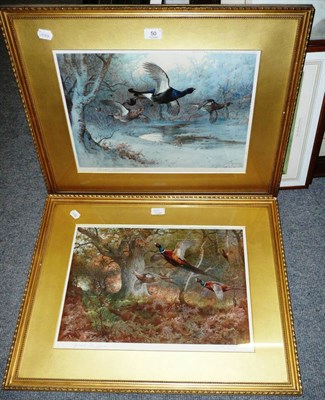 Lot 50 - Archibald Thorburn - `Autumn' and `Winter', Pheasants and Blackcock in flight in woodland settings