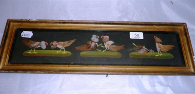 Lot 58 - A 19th Century Feather Cock Fighting Picture, with three images in feather and paint - before,...