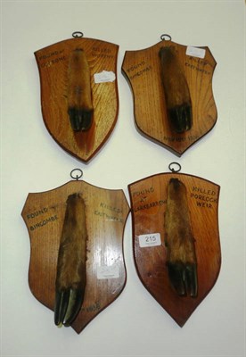 Lot 215 - A Pair of Mounted Deer Ankles, Found Bincombe, Killed Eastwater Nov 10th 1936, upon elm...