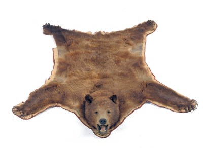 Lot 218 - Canadian Black Bear (Ursus americanus), circa 1970, skin rug with head mount, with open jaw,...