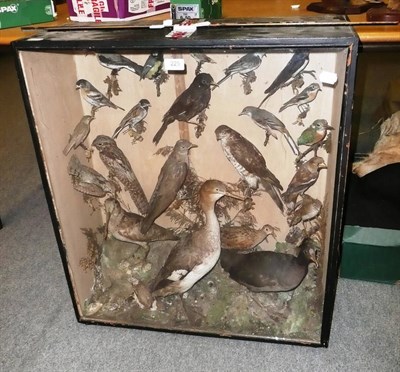 Lot 225 - A Case of Victorian Taxidermy Birds, circa 1890, all full mounts, and comprising Wheatear,...