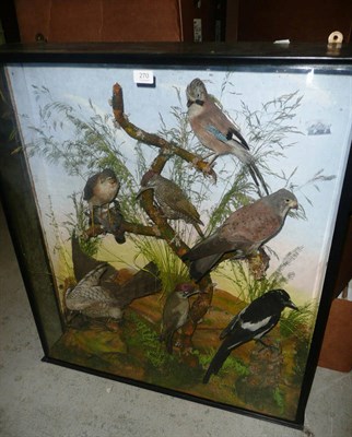 Lot 270 - A Taxidermy Group of Eight Birds, circa 1910, comprising jay, two green woodpeckers, sparrow...