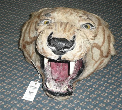 Lot 290 - Tiger (Panthera tigris), circa 1900, head mount, with original wooden backboard, 50cm long...