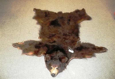 Lot 138 - Black Bear (Ursus americanus), circa 1970, skin rug with head mount, with open jaw, 152cm nose...