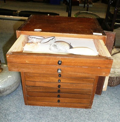 Lot 167 - A Table Chest of Sea Shells, early 20th century, 38cm by 30cm by 43cm, also containing a...