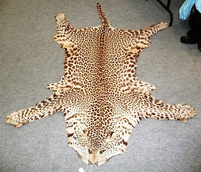 Lot 170 - Leopard (Panthera pardus), circa 1943, flat skin with inset glass eyes, 221cm nose to tail tip,...