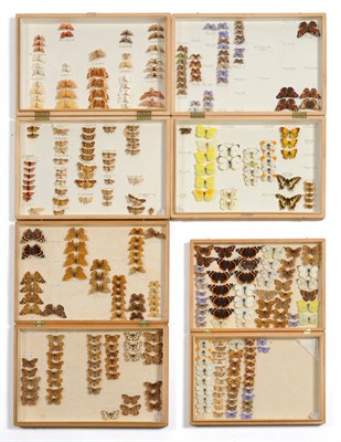 Lot 209 - A General Collection of Moths and Butterflies, mainly late 1960's and early 1970's, contained...