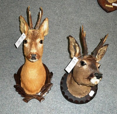 Lot 268 - Roe Deer (Capreolus capreolus), mid 20th century, two shoulder mounts on decorative carved and chip