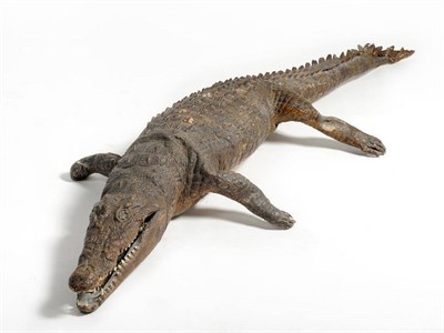 Lot 281 - Nile Crocodile (Crocodylus niloticus), circa 1839, full mount, jaw slightly open,  267cm long...