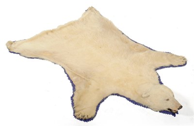 Lot 285 - Polar Bear (Ursus arctos), circa 1965, skin rug with head mount, with open jaw, blue felt...