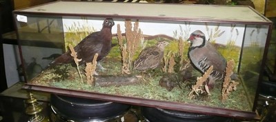 Lot 311 - A Taxidermy Group of Three Game Birds, comprising Red-Legged Partridge, Red Grouse and Quail,...