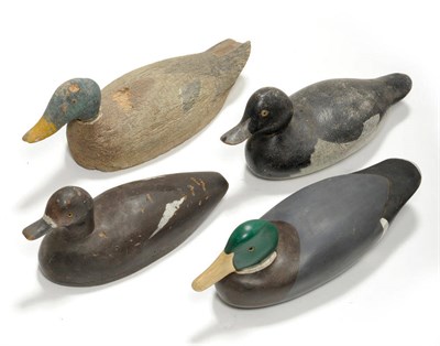 Lot 324 - A Carved Wood and Polychrome Painted Mallard Duck Decoy, signed P Maunchey, incised signature...