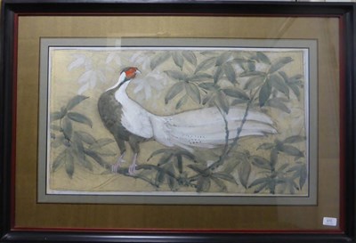 Lot 670 - Charles Frederick Tunnicliffe RA (1901-1979) Silver Pheasant Mixed media on buff paper, 42cm by...