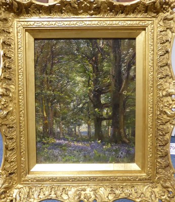 Lot 679 - Herbert Royle (1870-1958)  The bluebell woods at Nessfield  Signed, oil on canvas, 24.5cm by 19cm