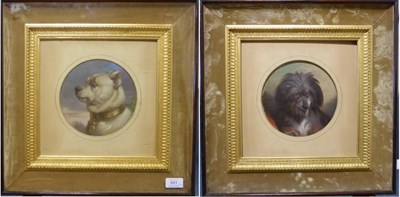 Lot 691 - Thomas Earl (fl.1836-1885)  Portrait of a terrier type  Portrait of a Bullmastiff  Signed, oil...