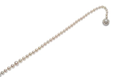 Lot 262 - A Cultured Pearl Necklace, seventy-three graduated cultured pearls knotted to a cultured pearl...