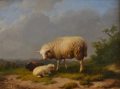 Lot 656 - Eugene Verboekhoven (1798-1881) Belgian  Study of a sheep and lambs at rest in a landscape...