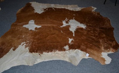Lot 1173 - Nguni Cow Hide (Bos taurus), modern, excellent quality AA grade brown and white pied cow hide floor