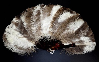Lot 150 - Feathers: A Circa 1900 Ostrich Feather Fan, mounted on plain tortoiseshell sticks, the brown...