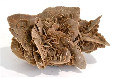 Lot 3016 - A Desert Rose Gypsum Specimen