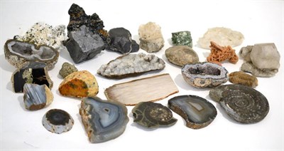 Lot 3018 - One Box of Various Fossils and Minerals, including Agates from Brazil, Quartz geode,...