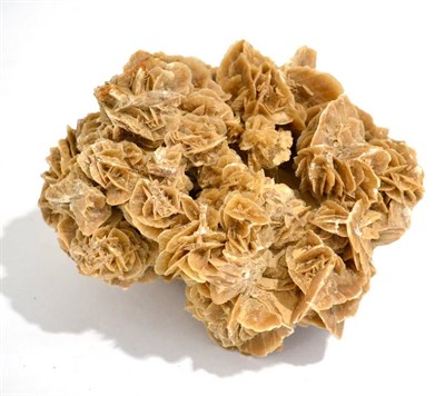 Lot 3021 - Sand Rose, Gypsum Crystal, Africa
