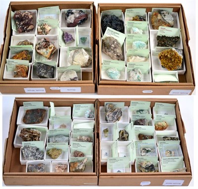 Lot 3124 - Four Trays of Miscellaneous Mineral Specimens, mostly from Cornwall, including Olivenite,...