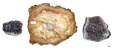 Lot 3218 - A Complete Tree Section of Petrified Wood and Two Pieces of Amethyst from Brazil (3)