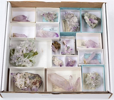 Lot 3219 - A Tray Containing Nineteen Specimens of Amethyst crystals From Vera Cruz, Mexico