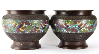Lot 67 - A Pair of Chinese Cloisonn‚ Enamel JardiniÂŠres, late 19th century, of ovoid form, decorated...