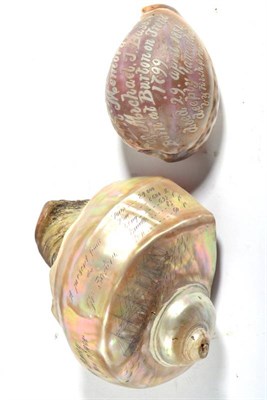 Lot 355 - A Scrimshaw Mother-of-Pearl Shell, dated 1864, decorated with the Great Eastern and inscribed...