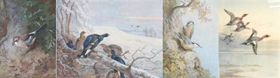 Lot 1010 - After Archibald Thorburn FZS (1860-1935) Ducks in flight above a wetland Coloured print, signed...