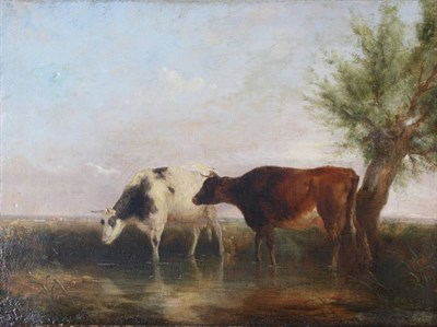 Lot 1045 - Attributed to William Shayer (1787-1879) Two cows at water Oil on canvas, 29.5cm by 39.5cm