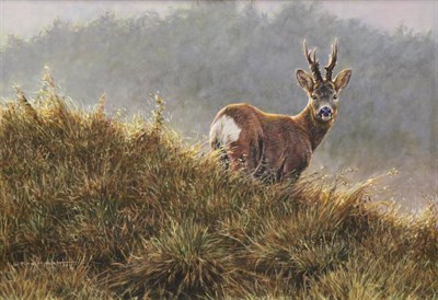 Lot 1049 - Alan Hunt (b.1947) ''Summer Roe Buck'' Signed and dated 2014, inscribed verso, oil on board,...