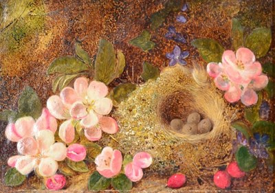 Lot 1054 - George Clare (1835-1900) Still life of blossom, violets and a birds' nest on a mossy bank...