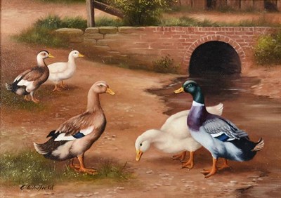 Lot 1072 - Carl Whitfield (b.1958)  Ducks by a bridge Signed, oil on panel, 11.5cm by 16cm   Artist's...