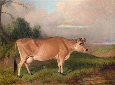 Lot 1127 - Colin Graeme Roe (1855-1910) ''Minnie'' - Portrait of a cow standing in a landscape  Signed and...