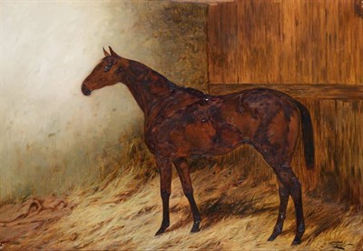 Lot 1137 - George Wright (1870-1963)  Portrait of a Bay horse standing in a stable  Signed, oil on canvas,...
