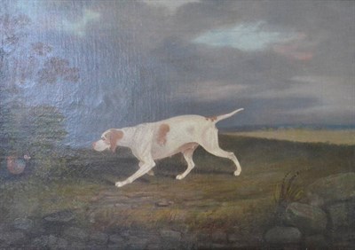 Lot 1174 - Follower of Matthew Ellis Nutter (1795-1862) Pointer on the scent of a pheasant Indistinctly signed