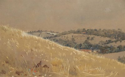 Lot 1182 - Attributed to Archibald Thorburn (1860-1935) Gamebirds on a hillside Watercolour and gouache,...